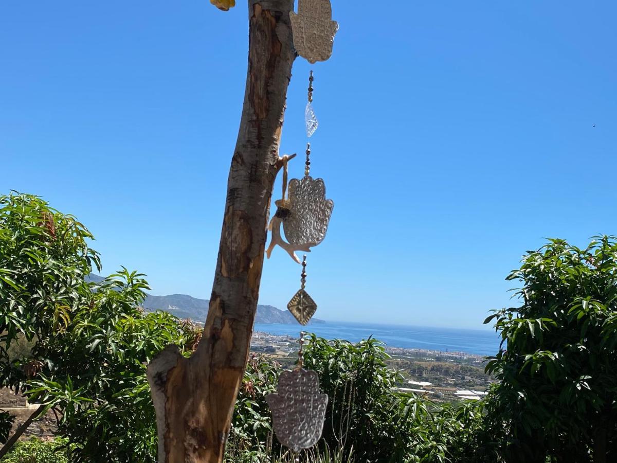 Bed & Breakfast La Casa Del Burro Nerja