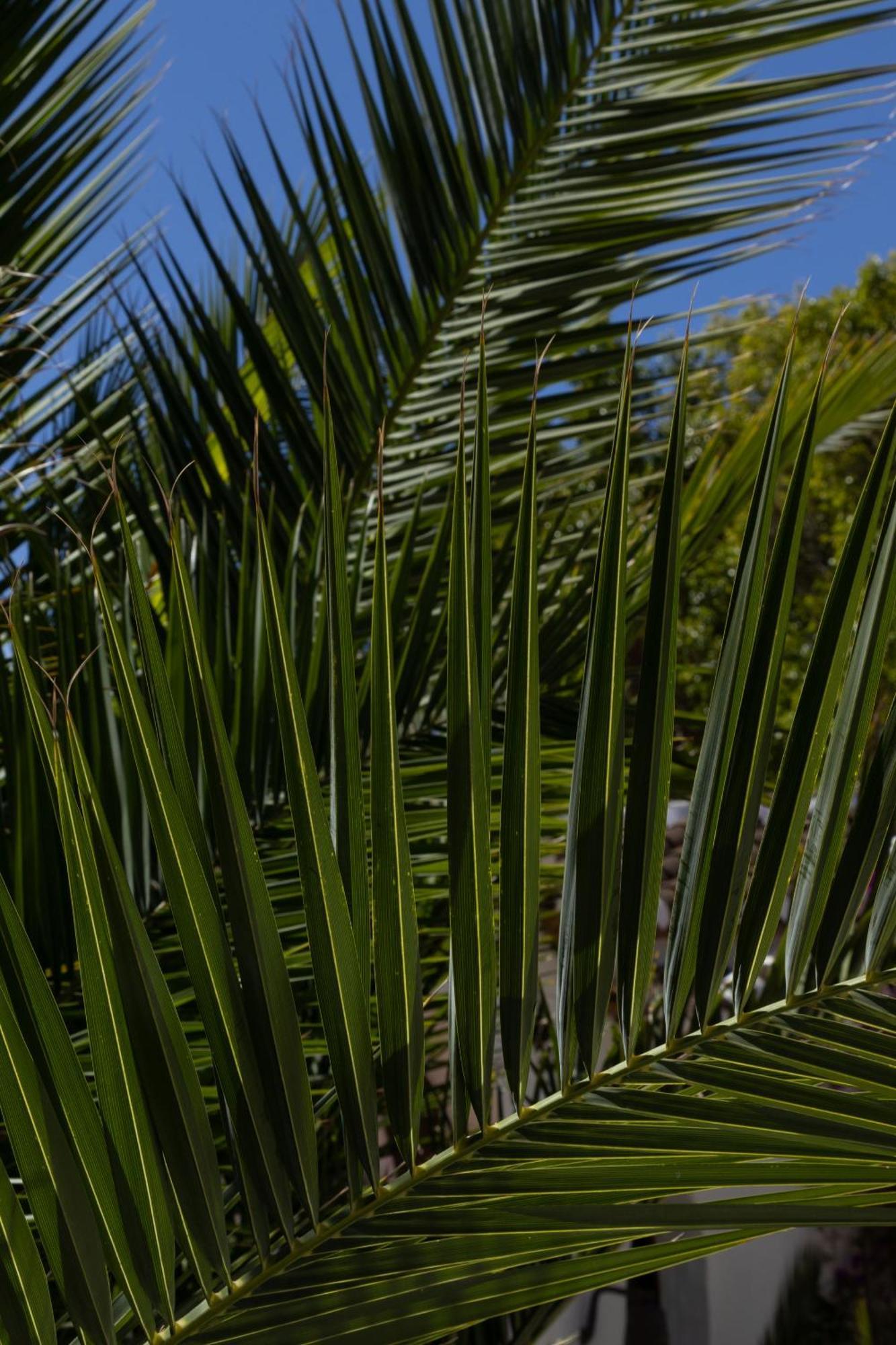 Bed & Breakfast La Casa Del Burro Nerja