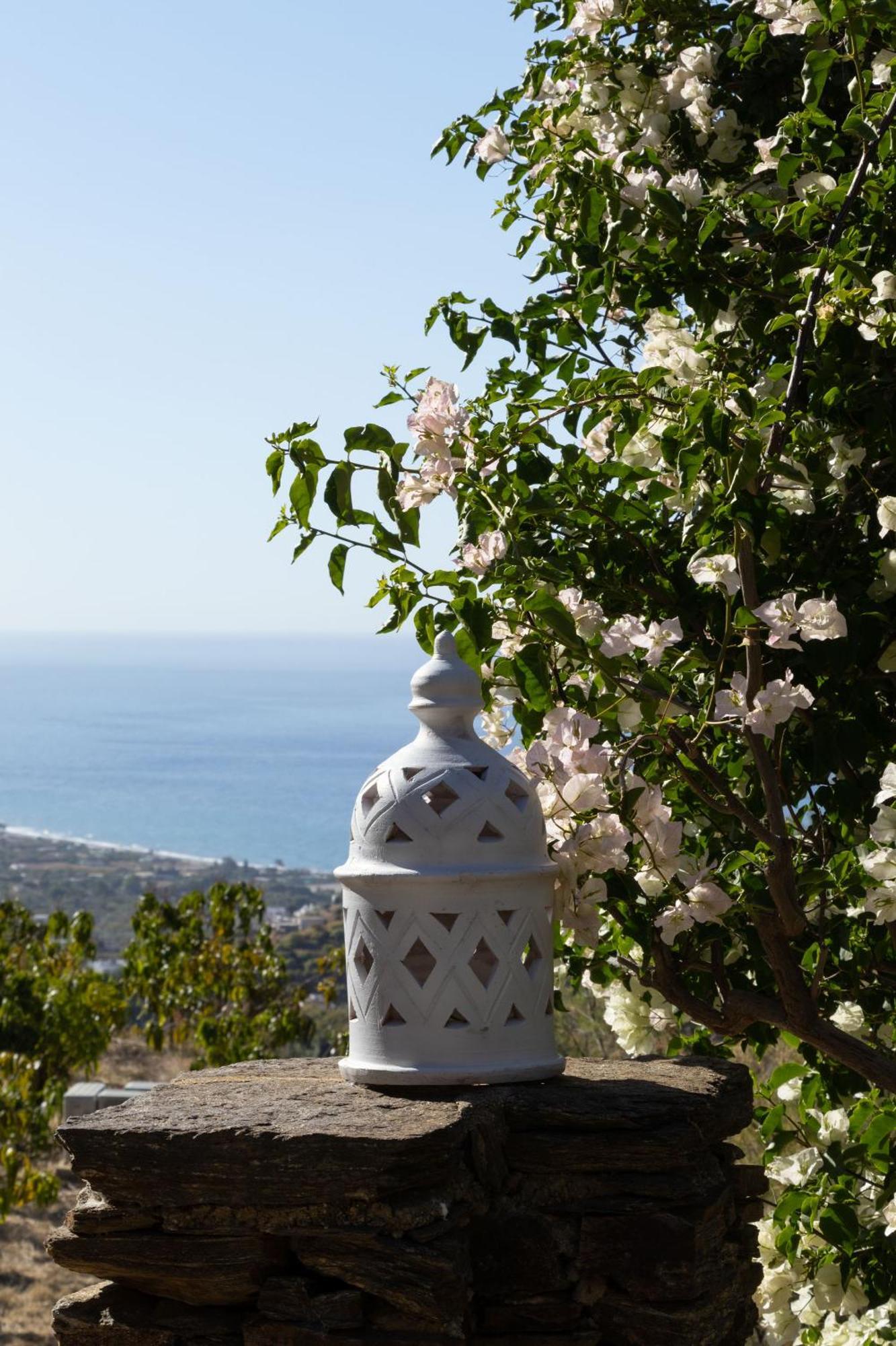 Bed & Breakfast La Casa Del Burro