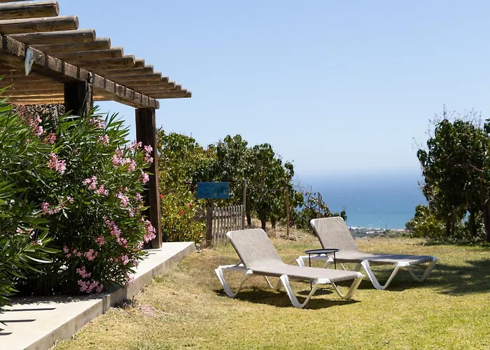La Casa Del Burro