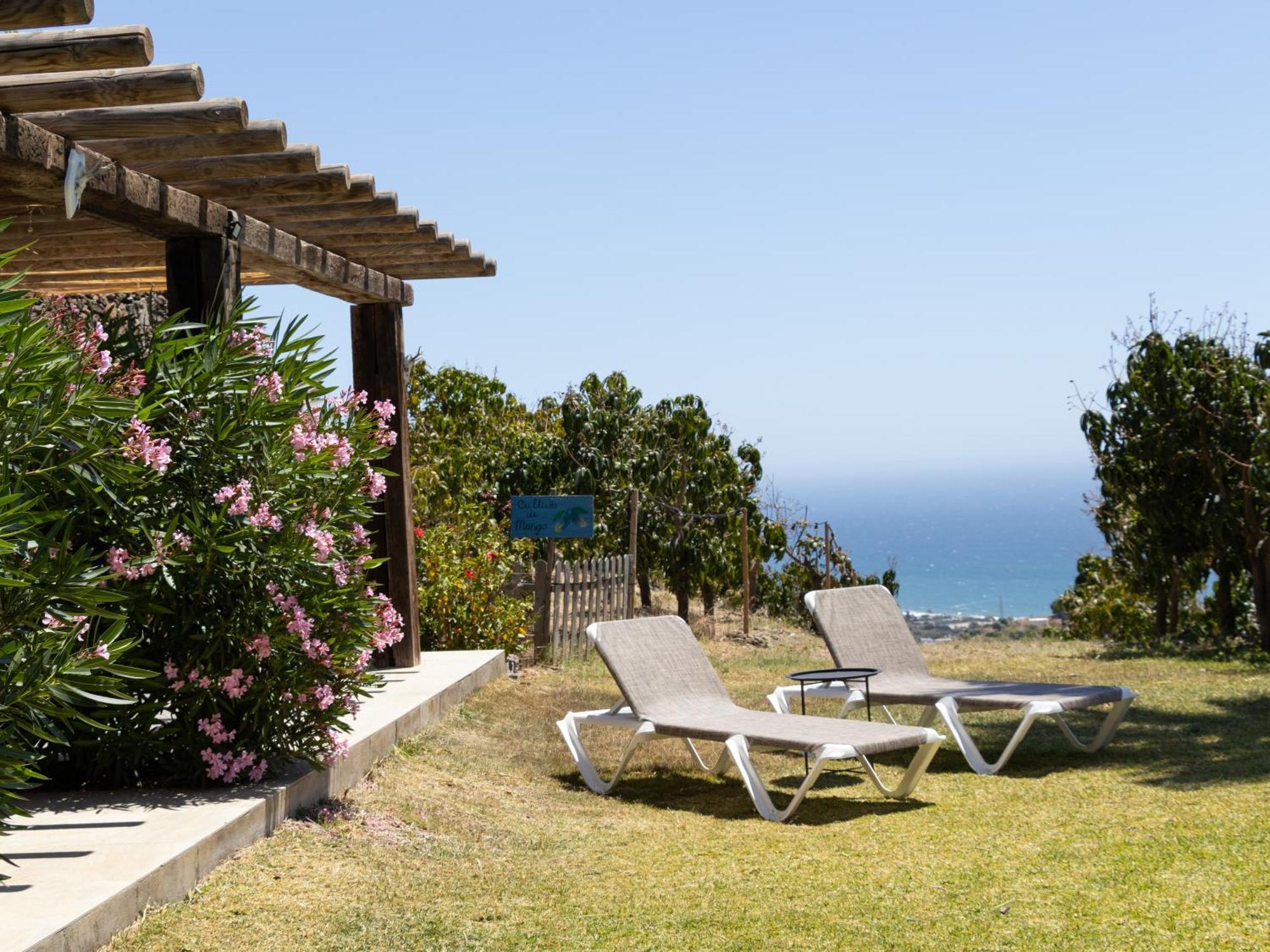 Bed & Breakfast La Casa Del Burro Nerja