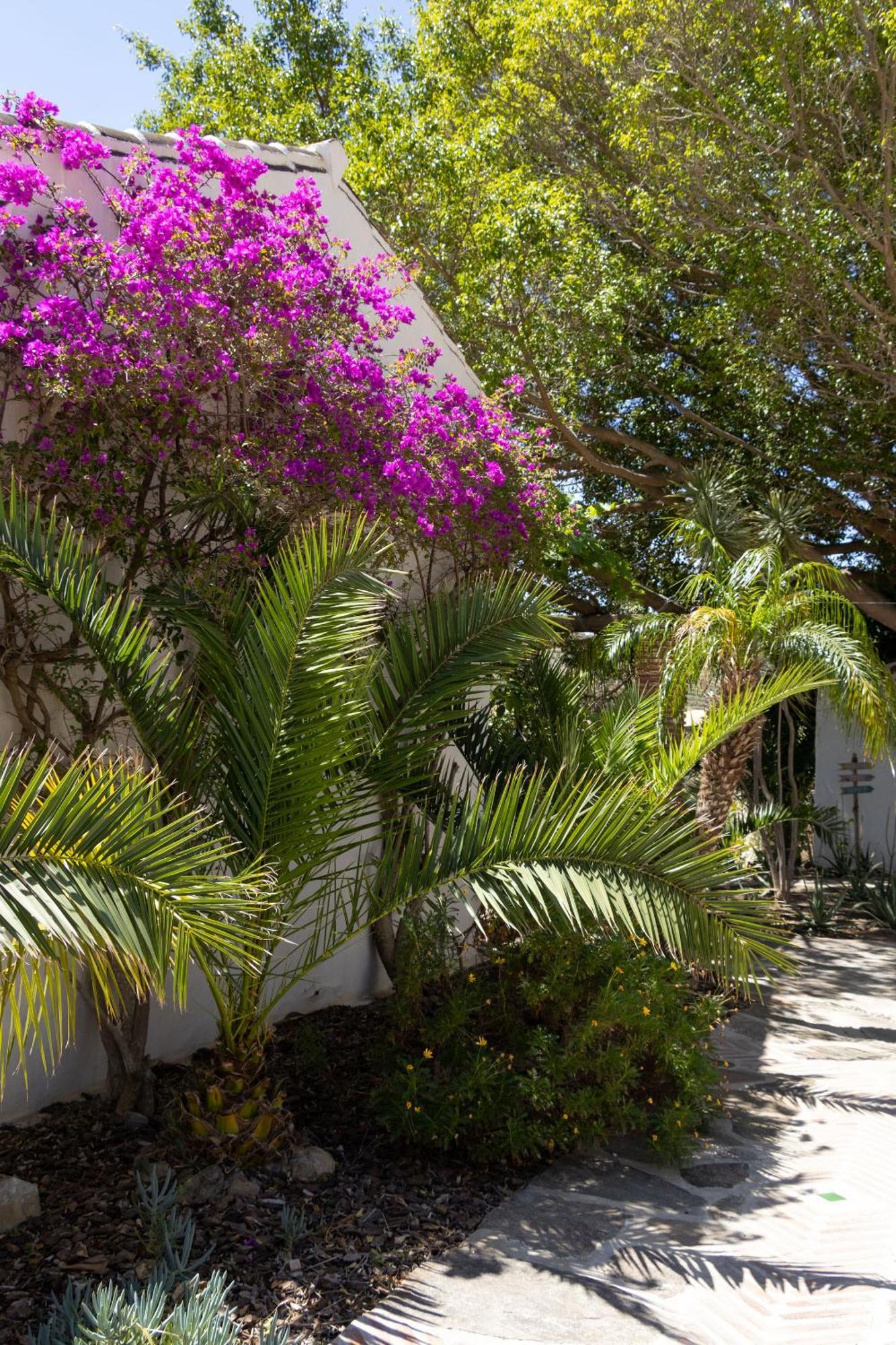 La Casa Del Burro Bed & Breakfast *